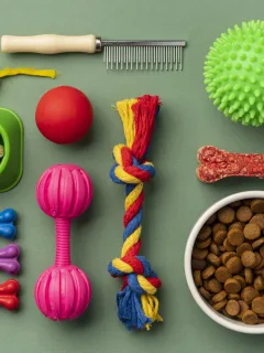 Shein Pet Supplies: Affordable & Stylish Options for Your Furry Friends 🐾