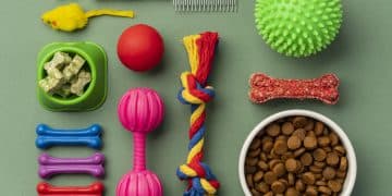 conjunto-de-conceito-de-natureza-morta-de-acessorios-para-animais-de-estimacao